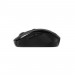 Мишка Canyon CNR-MSOW06B Wireless Black (CNR-MSOW06B)