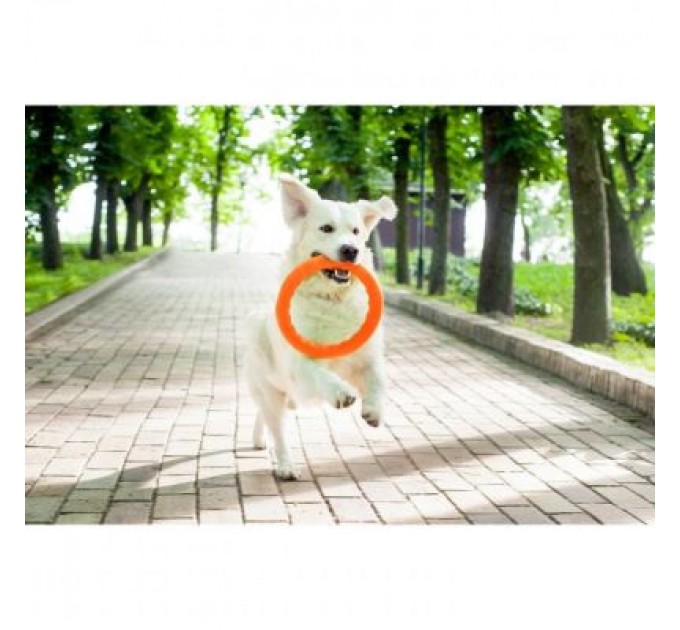 Collar Іграшка для собак Collar PitchDog Кільце для апортування 17 см помаранчеве (62364)