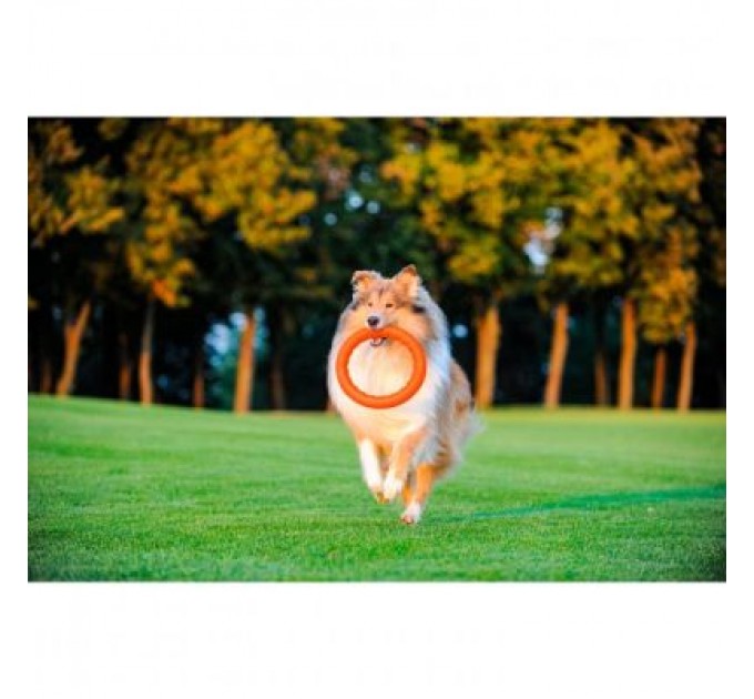 Collar Іграшка для собак Collar PitchDog Кільце для апортування 17 см помаранчеве (62364)