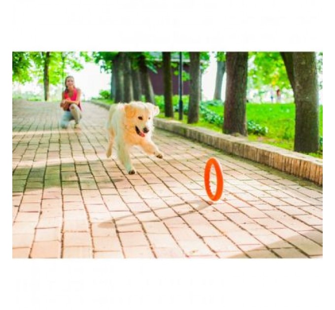 Collar Іграшка для собак Collar PitchDog Кільце для апортування 17 см помаранчеве (62364)