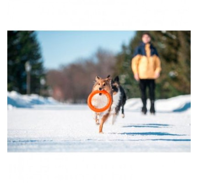 Collar Іграшка для собак Collar PitchDog Кільце для апортування 17 см помаранчеве (62364)