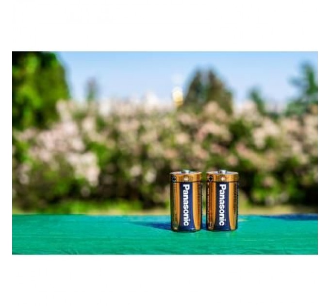 Panasonic Батарейка Panasonic D LR20 Alkaline Power * 2 (LR20REB/2BP)