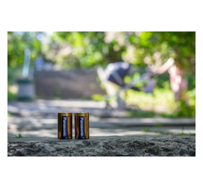 Panasonic Батарейка Panasonic D LR20 Alkaline Power * 2 (LR20REB/2BP)