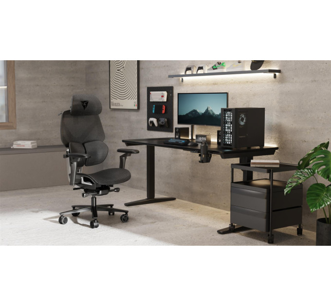 ThunderX3 Крісло для геймерів ThunderX3 Flex Pro Mesh Black (TEGC-3076101.12)