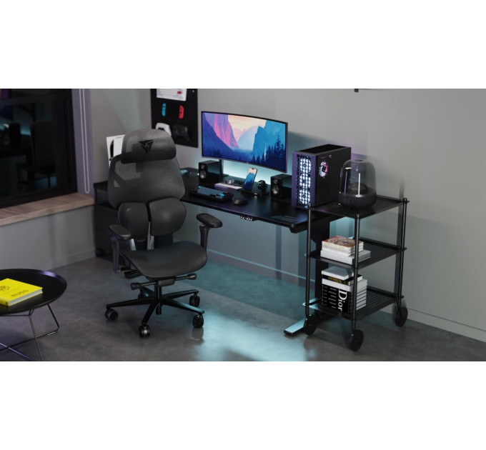 ThunderX3 Крісло для геймерів ThunderX3 Flex Pro Mesh Black (TEGC-3076101.12)