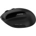 Canyon Мишка Canyon MW-25 LED Silent Wireless/Bluetooth Black (CNS-CMSW25)