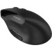 Canyon Мишка Canyon MW-25 LED Silent Wireless/Bluetooth Black (CNS-CMSW25)