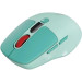Canyon Мишка Canyon MW-26 LCD Silent Wireless/Bluetooth Green (CNS-CMSW26GR)