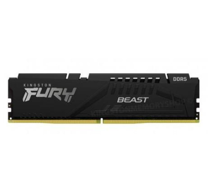 Kingston Модуль пам`яті DDR5 32GB/5600 Kingston Fury Beast Black (KF556C36BBE2-32)