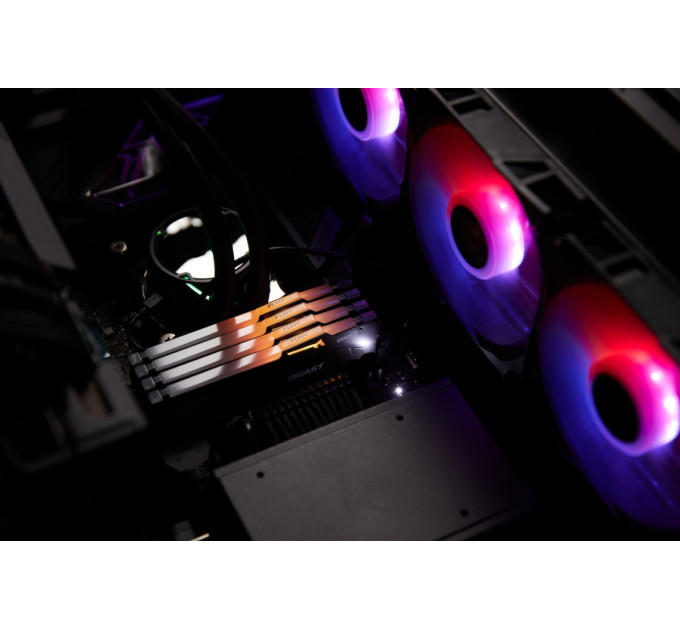 Kingston Модуль пам`яті DDR5 32GB/5600 Kingston Fury Beast RGB Black (KF556C36BBE2A-32)