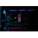 Kingston Модуль пам`яті DDR5 32GB/5600 Kingston Fury Beast RGB Black (KF556C36BBE2A-32)