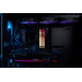 Kingston Модуль пам`яті DDR5 32GB/5600 Kingston Fury Beast RGB Black (KF556C36BBE2A-32)