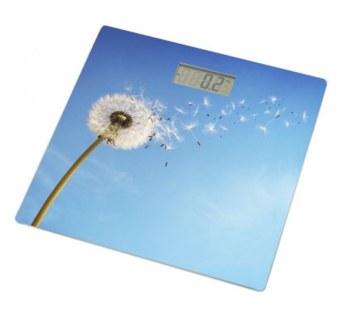 Grunhelm Ваги підлогові Grunhelm BES-BLB