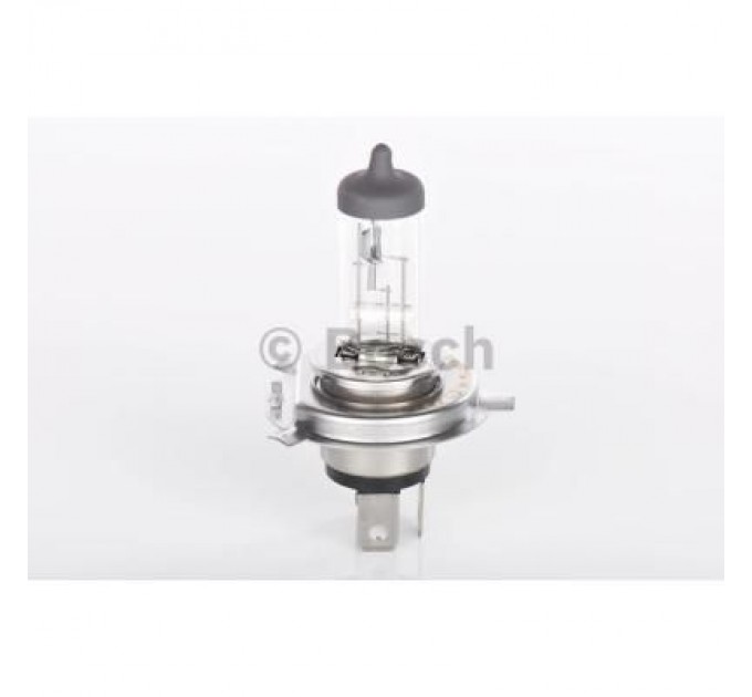 Bosch Автолампа Bosch галогенова 60/55W (1 987 302 041)