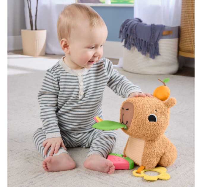 Fisher-Price Розвиваюча іграшка Fisher-Price Капібара (HYR54)