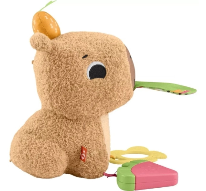 Fisher-Price Розвиваюча іграшка Fisher-Price Капібара (HYR54)