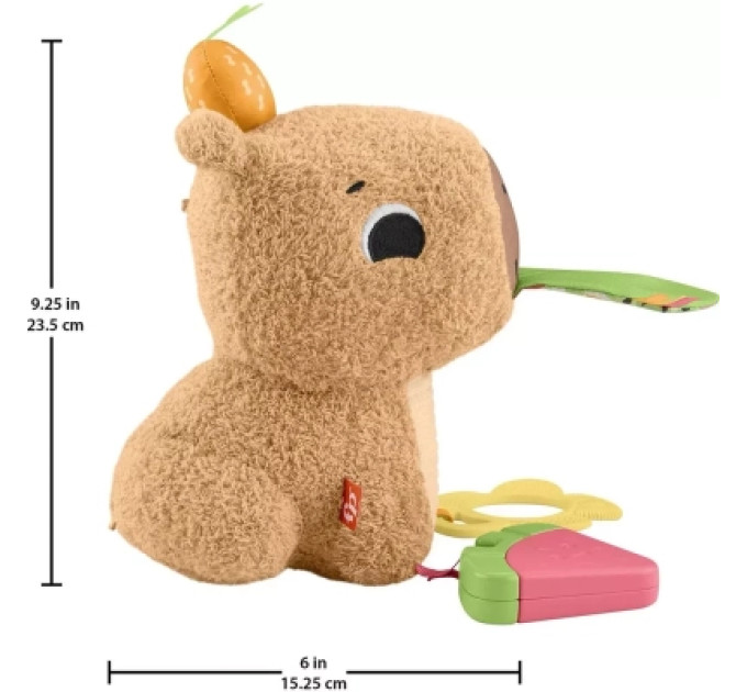 Fisher-Price Розвиваюча іграшка Fisher-Price Капібара (HYR54)
