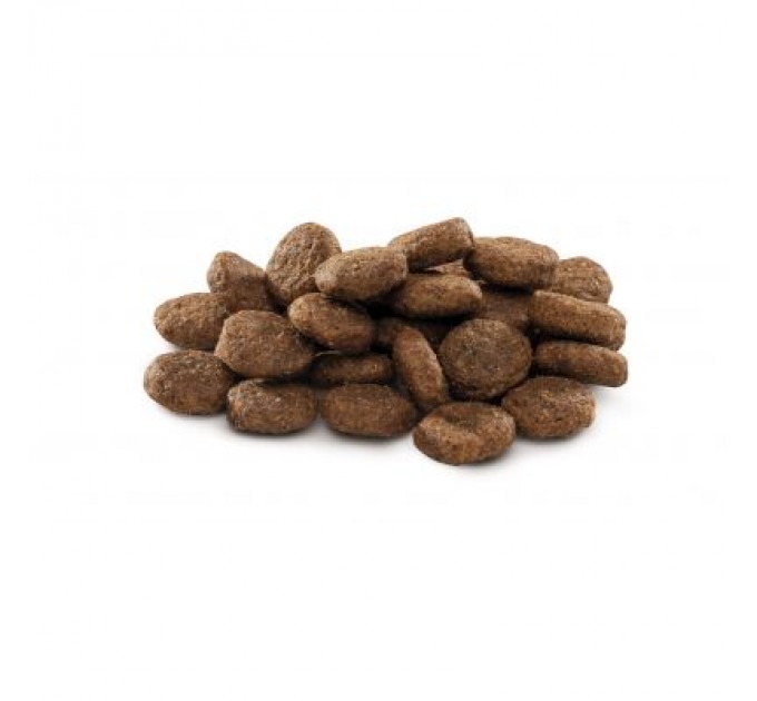 Brit Premium Сухий корм для собак Brit Premium Dog Junior L 15 кг (8595602526437)