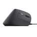Trust Миша Trust Bayo 2 Ergonomic Black (25144)