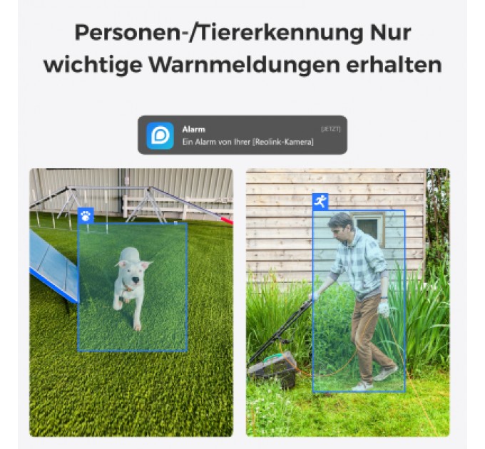 Reolink Камера відеоспостереження Reolink E320 (E1) (E320)