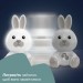 Chicco Нічник Chicco музичний Кролик Dreamlight (11456.00)