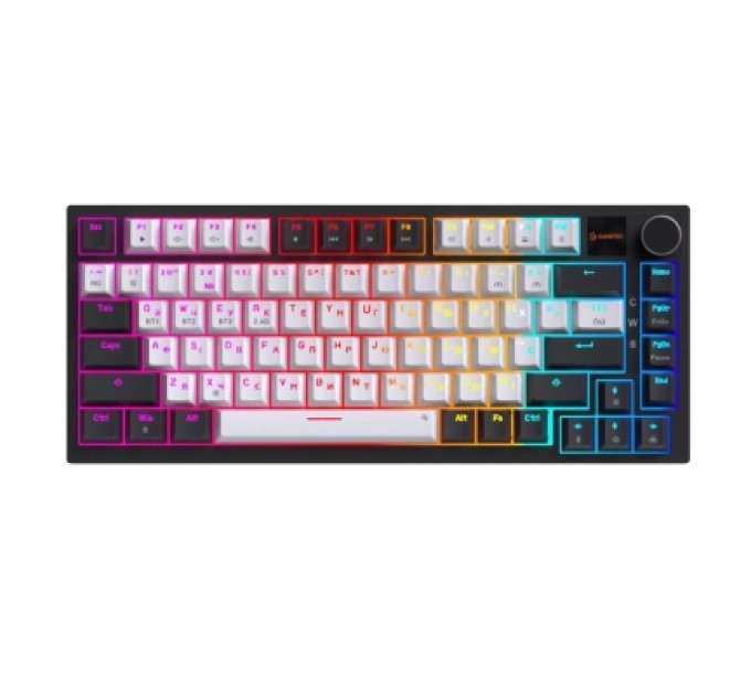 GamePro Клавіатура GamePro Asgard Valhalla Pro Rainy Switch Bluetooth/2.4G/USB USB White with display (MK160W-D-Pro)