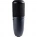 AKG Мікрофон AKG P120 Black (3101H00400)
