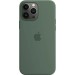 Apple Чохол-накладка Apple Silicone Case with MagSafe для Apple iPhone 13 Pro Max Eucalyptus (MN6C3)