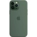 Apple Чохол-накладка Apple Silicone Case with MagSafe для Apple iPhone 13 Pro Max Eucalyptus (MN6C3)