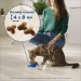 Purina Cat Chow Сухий корм для кішок Purina Cat Chow Kitten з куркою 1.5 кг (5997204513984)