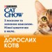 Purina Cat Chow Вологий корм для кішок Purina Cat Chow Adult з лососем і зеленою квасолею 85 гх10 шт (7613036596039)