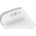 Trust Мишка Trust Bayo+ Ergonomic Wireless/Bluetooth White (25399)