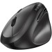 Genius Мишка Genius Ergo 8350S AI Silent Wireless Black (31030041400)