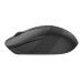 A4Tech Миша бездротова A4Tech FB10CS Stone Black