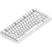 Dark Project Клавіатура Dark Project ALU81 Terra Nova PBT RGB Mech G3MS Moonstone White (DPKB_NOVA_81_ANSI_WHITE_UA)