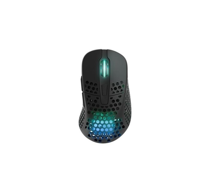 Cherry Xtrfy Мишка Cherry Xtrfy M4 RGB Wireless/USB Black (M4W-RGB-BLACK)