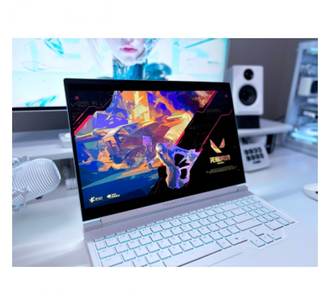 Thunderobot Ноутбук Thunderobot RS16 (RS16-R9985HX57TE1Q240ARC)
