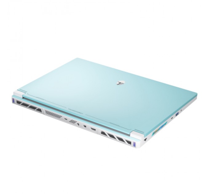 Thunderobot Ноутбук Thunderobot RS16 (RS16-I9139HX56E1Q240ARC)