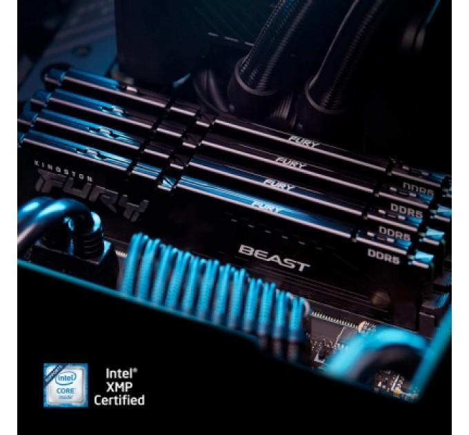 Kingston Fury (ex.HyperX) Модуль пам'яті для комп'ютера DDR5 128GB (2x64GB) 5600 MHz Beast Black Kingston Fury (ex.HyperX) (KF556C40BBK2-128)