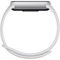 Xiaomi Фiтнес-браслет Xiaomi Smart Band 10 Silver (BHR07PSGL)