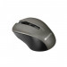 Мишка Canyon MW-1 Wireless Gray (CNE-CMSW1G)