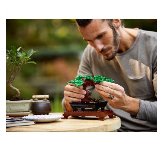Конструктор LEGO Creator Expert Дерево бонсай 878 деталей (10281)