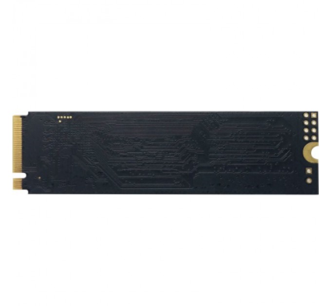 Patriot Накопичувач SSD M.2 2280 240GB Patriot (P310P240GM28)