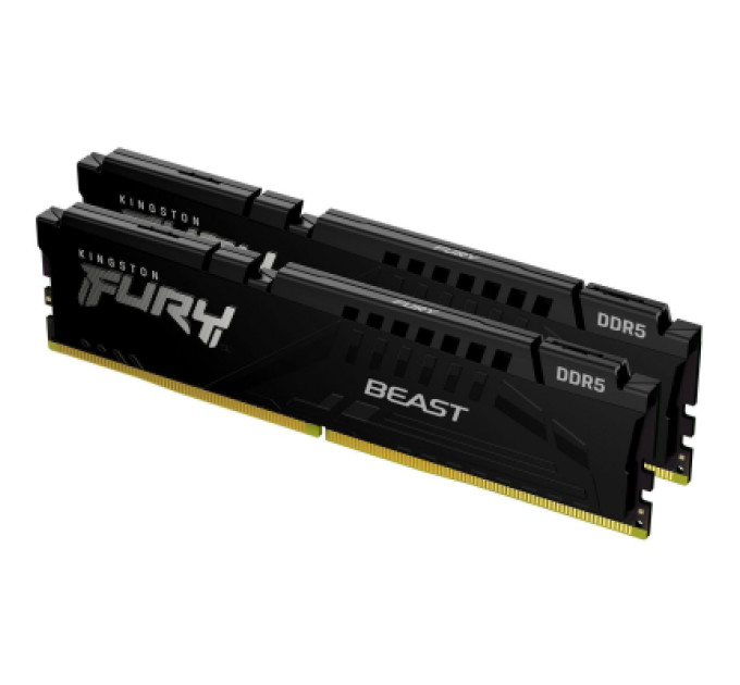 Kingston Fury (ex.HyperX) Модуль пам'яті для комп'ютера DDR5 64GB (2x32GB) 5600 MHz Beast EXPO Black Kingston Fury (ex.HyperX) (KF556C40BB2K2-64)