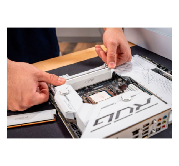 Crucial Модуль пам'яті для комп'ютера DDR5 16GB 6400 MHz Pro Overclocking White Micron (CP16G64C38U5W)