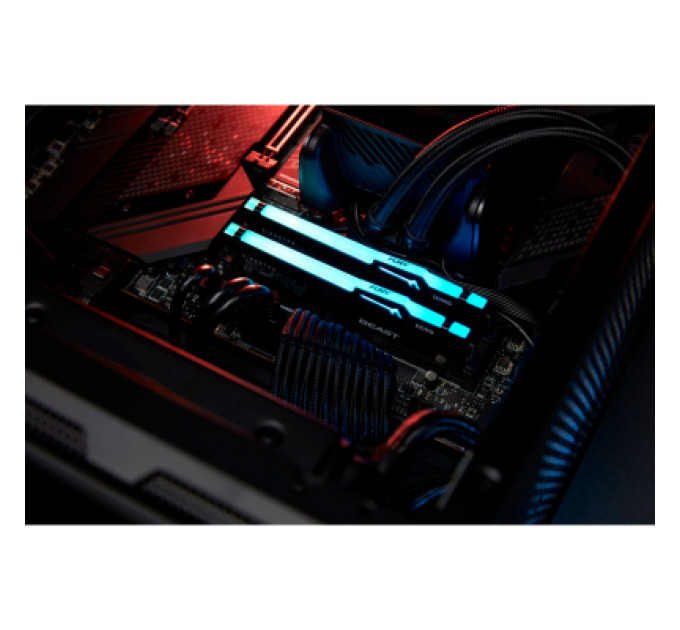 Kingston Fury (ex.HyperX) Модуль пам'яті для комп'ютера DDR5 64GB (2x32GB) 5600 MHz Beast RGB EXPO Black Kingston Fury (ex.HyperX) (KF556C40BBA-64)