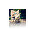 Voltronic Килимок для мишки Voltronic CAT3 (YT-CAT3)