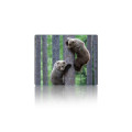 Voltronic Килимок для мишки Voltronic Two Bears (YT-CAT11)
