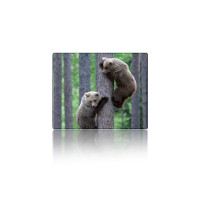 Килимок для мишки Voltronic Two Bears (YT-CAT11)