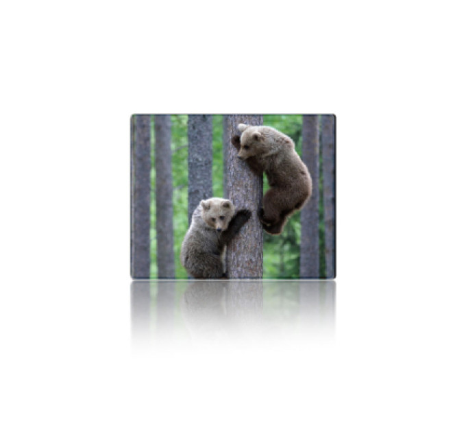 Voltronic Килимок для мишки Voltronic Two Bears (YT-CAT11)
